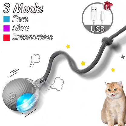 Cat Interactive Ball Toys Automatic Rolling Ball Faux Tail Rechargeable Smart Pet Electric Toy Dog Cat Training Imitate Mouse